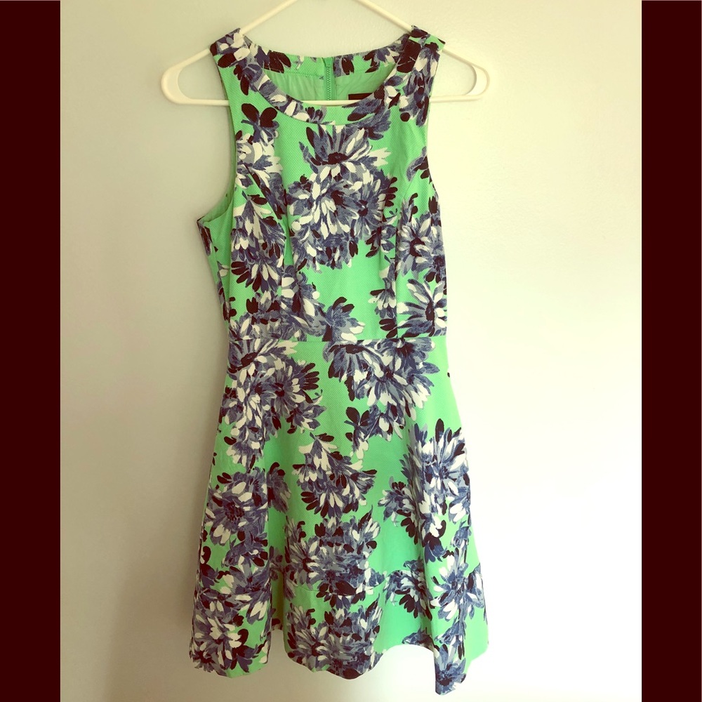J Crew Fit and Flare Dress